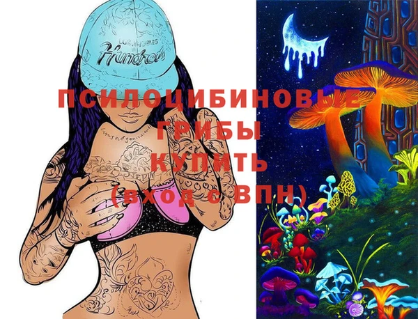 мдпв Абинск