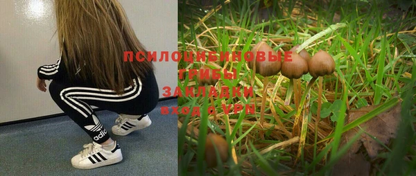 бутират Майский