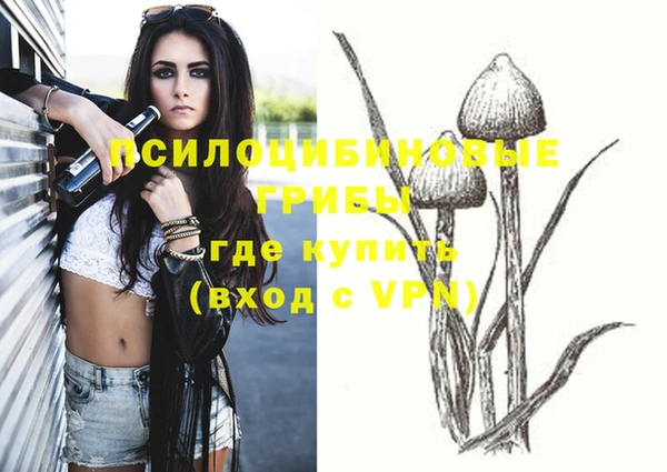 2c-b Абдулино