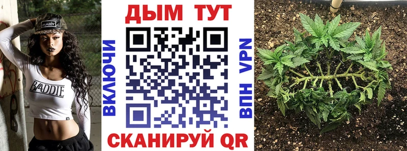 где купить наркоту  Торопец  Шишки марихуана Amnesia 